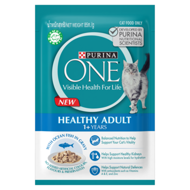 Cat food with 2025 high water content